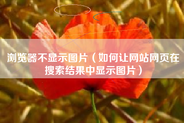 浏览器不显示图片（如何让网站网页在搜索结果中显示图片）