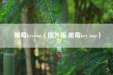 黑莓keyone（国外版 黑莓key one）