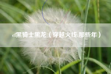 cf黑骑士黑龙（穿越火线:那些年）