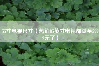 55寸电视尺寸（热销85英寸电视都跌至5999元了）