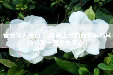 音频输入接口（2年前上市的台式解码耳放让我一直念念不忘）