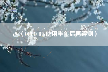 r9s（OPPO R9s使用半年后再评测）