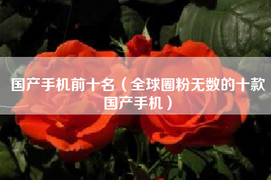 国产手机前十名（全球圈粉无数的十款国产手机）