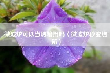 微波炉可以当烤箱用吗（微波炉秒变烤箱）