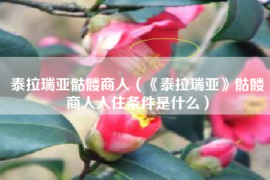 泰拉瑞亚骷髅商人（《泰拉瑞亚》骷髅商人入住条件是什么）