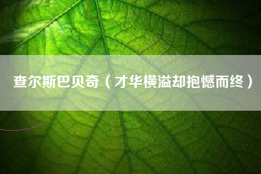 查尔斯巴贝奇（才华横溢却抱憾而终）