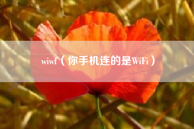wiwf（你手机连的是WiFi）