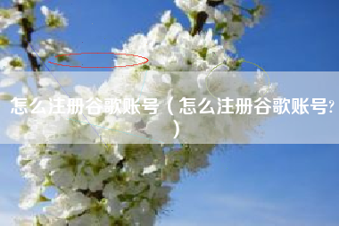 怎么注册谷歌账号（怎么注册谷歌账号?）