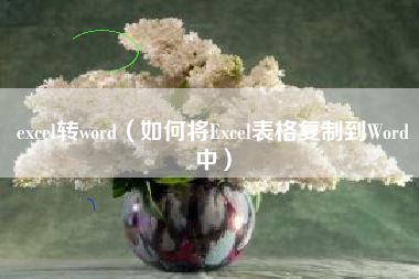 excel转word（如何将Excel表格复制到Word中）
