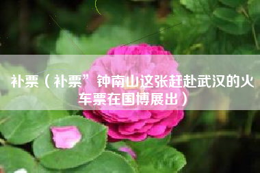 补票（补票”钟南山这张赶赴武汉的火车票在国博展出）