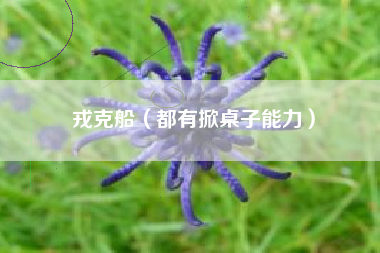 戎克船（都有掀桌子能力）