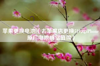 苹果更换电池（去苹果店更换519元iPhone原厂电池感觉值得）