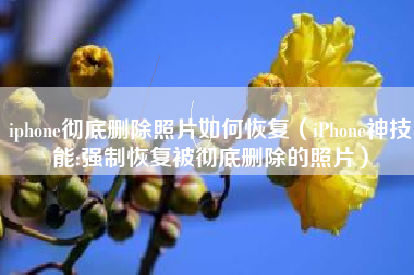 iphone彻底删除照片如何恢复（iPhone神技能:强制恢复被彻底删除的照片）