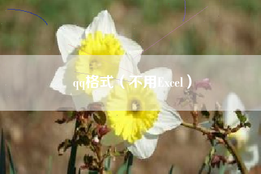 qq格式（不用Excel）