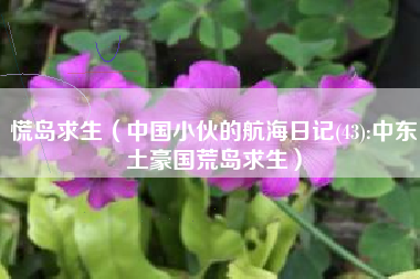 慌岛求生（中国小伙的航海日记(43):中东土豪国荒岛求生）