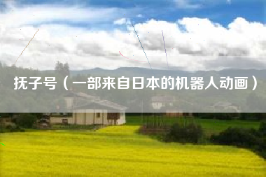抚子号（一部来自日本的机器人动画）