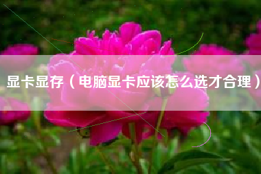 显卡显存（电脑显卡应该怎么选才合理）