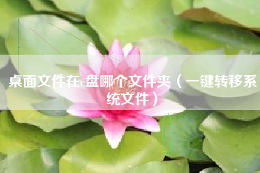 桌面文件在c盘哪个文件夹（一键转移系统文件）