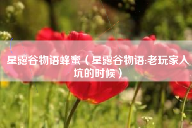 星露谷物语蜂蜜（星露谷物语:老玩家入坑的时候）