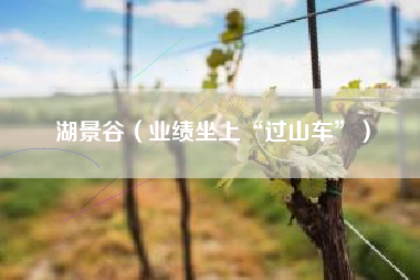 湖景谷（业绩坐上“过山车”）