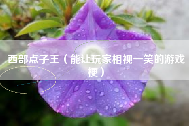 西部点子王（能让玩家相视一笑的游戏梗）