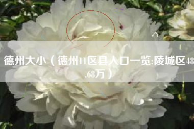 德州大小（德州11区县人口一览:陵城区48.68万）