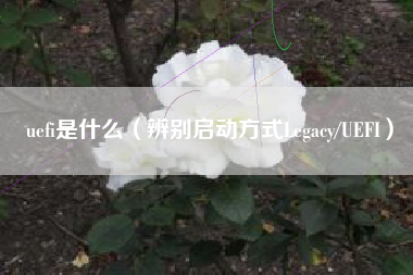 uefi是什么（辨别启动方式Legacy/UEFI）