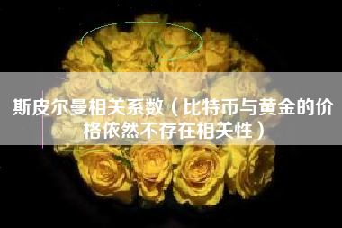 斯皮尔曼相关系数（比特币与黄金的价格依然不存在相关性）