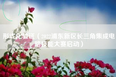 形式化验证（2022浦东新区长三角集成电路技能大赛启动）