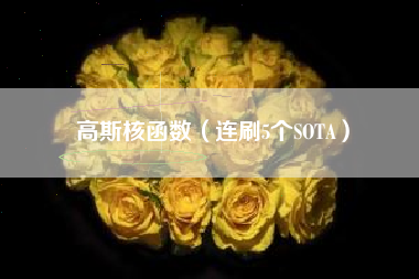 高斯核函数（连刷5个SOTA）