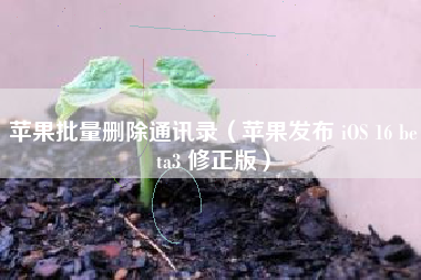 苹果批量删除通讯录（苹果发布 iOS 16 beta3 修正版）