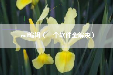 cad编辑（一个软件全解决）