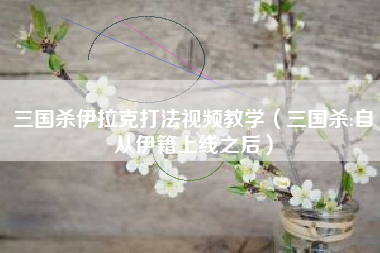 三国杀伊拉克打法视频教学（三国杀:自从伊籍上线之后）