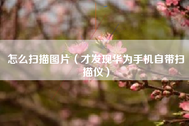 怎么扫描图片（才发现华为手机自带扫描仪）