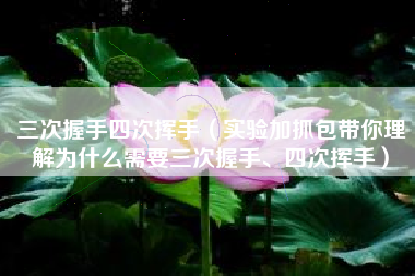 三次握手四次挥手（实验加抓包带你理解为什么需要三次握手、四次挥手）