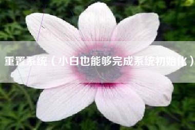 重置系统（小白也能够完成系统初始化）