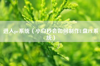 进入pe系统（小白秒会如何制作U盘PE系统）