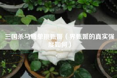 三国杀马腾单挑甄姬（界甄姬的真实强度如何）