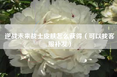 逆战未来战士皮肤怎么获得（可以找客服补发）