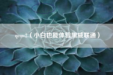 qcow2（小白也能体验黑威联通）
