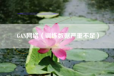 GAN网络（训练数据严重不足）