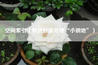 空间索引（轨迹数据处理“小钢炮”）