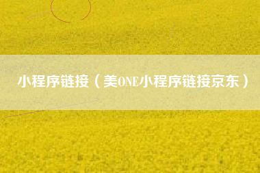 小程序链接（美ONE小程序链接京东）