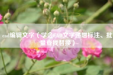cad编辑文字（学会CAD文字递增标注、批量查找替换）