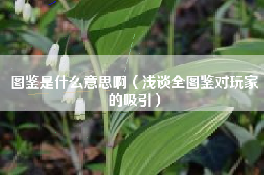 图鉴是什么意思啊（浅谈全图鉴对玩家的吸引）
