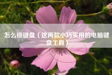 怎么锁键盘（这两款小巧实用的电脑键盘工具）