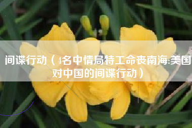 间谍行动（4名中情局特工命丧南海:美国对中国的间谍行动）