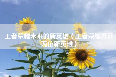 王者荣耀未来的新英雄（王者荣耀再获两位新英雄）