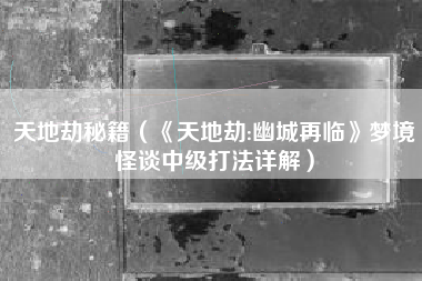 天地劫秘籍（《天地劫:幽城再临》梦境怪谈中级打法详解）
