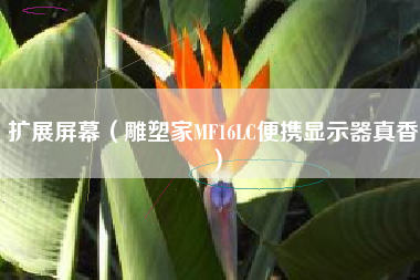 扩展屏幕（雕塑家MF16LC便携显示器真香）